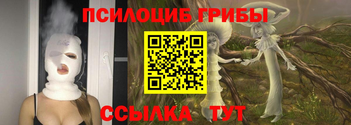 Галлюциногенные грибы MAGIC MUSHROOMS  Вход с VPN  Протвино 